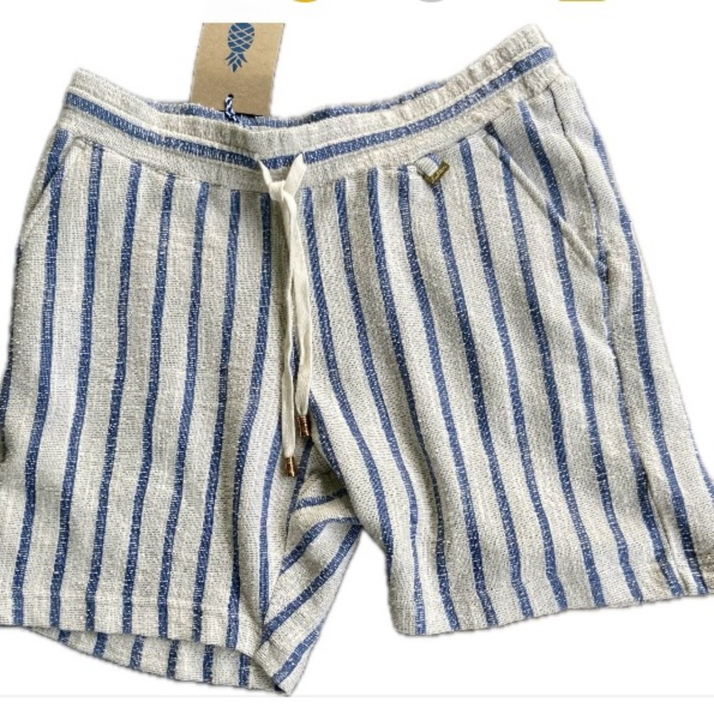 Chubbies Blue and White Striped Athletic Shorts